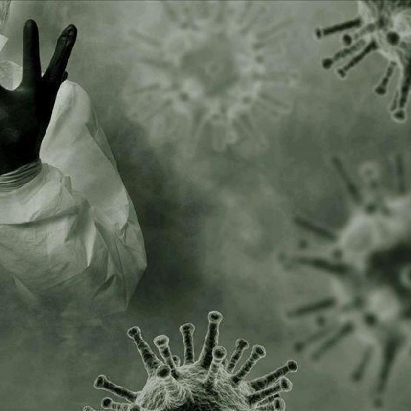 Kínai tudósok koronavírussal kísérleteztek